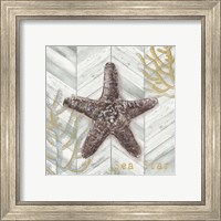 Framed 'Gray Gold Chevron Star Fish' border=