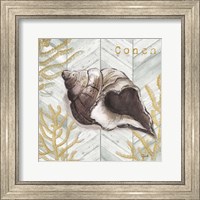 Framed Gray Gold Chevron Conch Shell