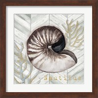 Framed 'Gray Gold Chevron Nautilus Shell' border=