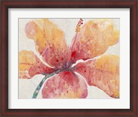 Framed Blooming Hibiscus