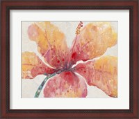 Framed Blooming Hibiscus