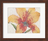 Framed Blooming Lily