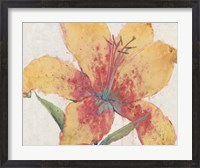 Framed Blooming Lily