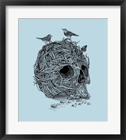 Framed Skull Nest