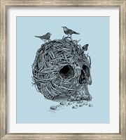 Framed Skull Nest