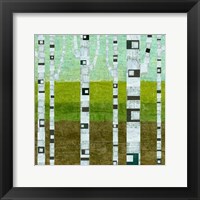 Framed Summer Birches