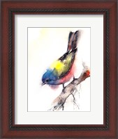 Framed Bunting Bird