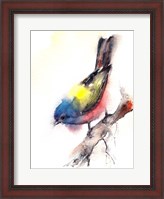 Framed Bunting Bird