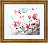 Framed Magnolia, Spring