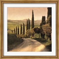Framed Country Lane, Tuscany