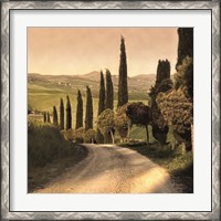 Framed Country Lane, Tuscany