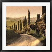 Framed Country Lane, Tuscany