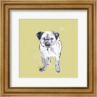 Framed Super Cute Pug