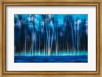 Framed Mystic Forest