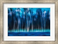 Framed Mystic Forest