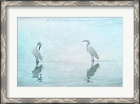 Framed White Cranes