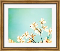 Framed Blossoms Adrift