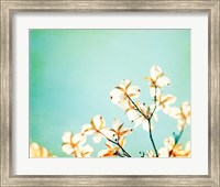 Framed Blossoms Adrift