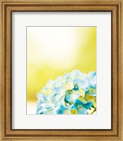 Framed Hydrangea