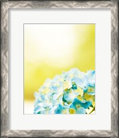 Framed Hydrangea