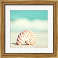 Framed Nautilus