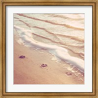 Framed Paw Prints