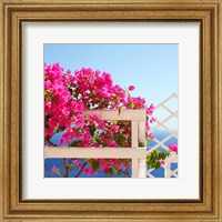 Framed Santorini Blooms