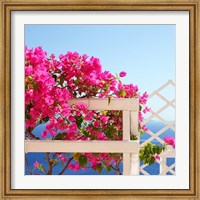 Framed Santorini Blooms