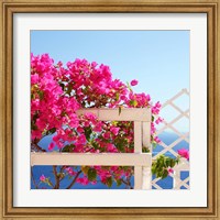 Framed Santorini Blooms