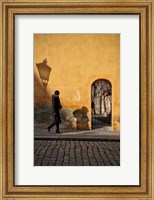 Framed Mala Strana