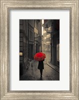 Framed Red Rain