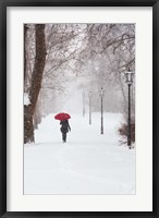 Framed Winter Rose