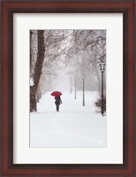 Framed Winter Rose