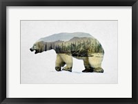 Framed Arctic Polar Bear