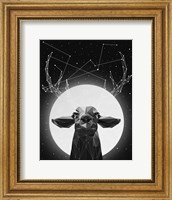 Framed Banyon Deer