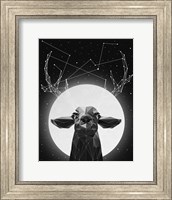 Framed Banyon Deer