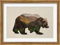 Framed North American Brown Bear