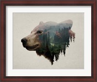 Framed Pacific Northwest Black Bear