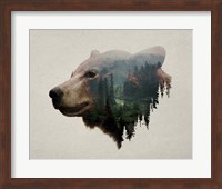 Framed Pacific Northwest Black Bear