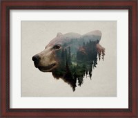 Framed Pacific Northwest Black Bear