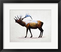 Framed Rocky Mountain Elk