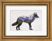 Framed Rocky Mountain Grey Wolf