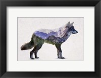 Framed Rocky Mountain Grey Wolf