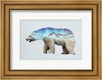 Framed Arctic Polar Bear