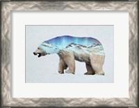 Framed Arctic Polar Bear