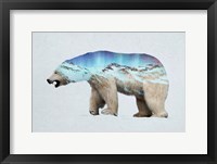 Framed Arctic Polar Bear