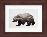 Framed Kodiak Brown Bear