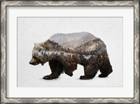 Framed Kodiak Brown Bear