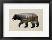 Framed North American Black Bear