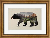 Framed North American Black Bear